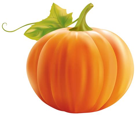 pumpkin background clipart|realistic pumpkin clip art.